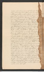 Nachlass Franz Steindachner, Prospect der Adria-Commission (Mai 1874), Inv.Nr. 4.01, Seite 10